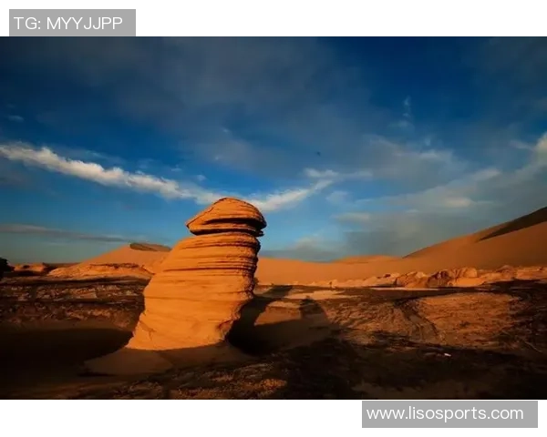 攀岩之路：陈伟与自然对话的深刻人生探索