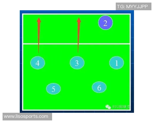 赛后分析：北京排球队与重庆排球队力量对比及战术探讨