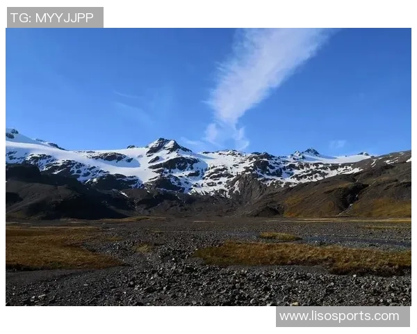 极限运动的探索与挑战：周伟的深度对话与人生旅程
